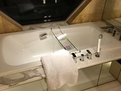 -新加坡丽思卡尔顿美年酒店
