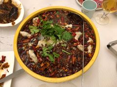 -天府乐园