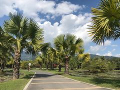 -中国科学院西双版纳热带植物园