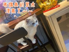 -Meowの猫咖(万家丽店)