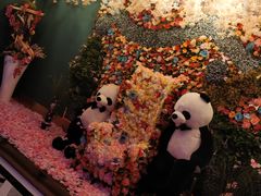 -向日葵KTV(温江店)
