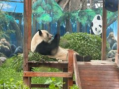 -鄂尔多斯野生动物园