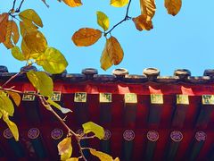 -香山公园