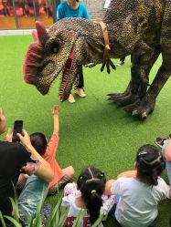 -恐龙探索乐园(磁器口店)