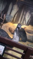 -酷嗒动物文化乐园(cutezoo西溪乐天城店)