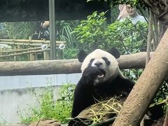 -黔灵山公园