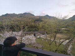 -宁海安岚·南溪阁全日餐厅