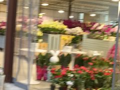 -三圣花乡旅游区