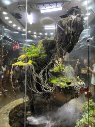 点击看大图 -Zoolung Zoolung动物主题公园(海信广场店)