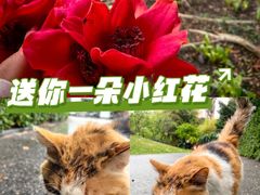 -晓港公园