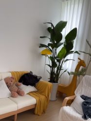 点击看大图 -小阿福儿童摄影(华中智谷店)
