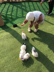 -萌宠亲子动物乐园(槐房万达店)