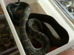 -江杨农产品批发市场