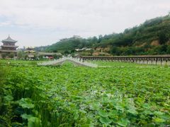 -渭南桃花源民俗文化园