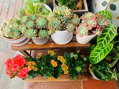 -Rabbit Cafe私房西餐甜点咖啡(栖霞路店)