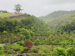-天姥山景区