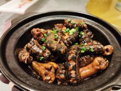 红烧野生黄鳝-徽州小镇(高新店)