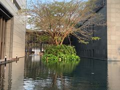 -三亚太阳湾柏悦酒店