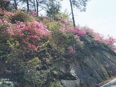 -木兰云雾山