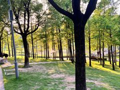 -牛岗山公园