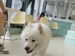 -怪兽屋·羊驼·猫咖·狗咖(俊华广场店)