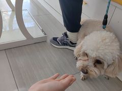 -全心全意连锁动物医院·微创中心·内科急重症·心脏专科(丰管路店)