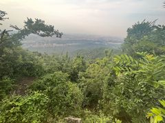 -紫金山山顶公园