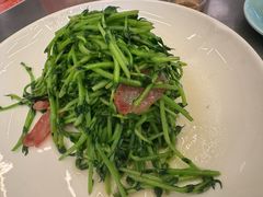 鸡油腊味炒豆苗-潮界(凯德晶萃店)