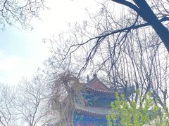 -济南大明湖景区