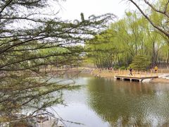 -东升八家郊野公园