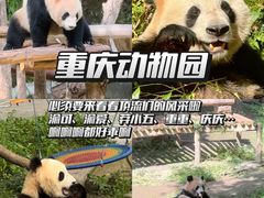 -大虎老火锅(直港大道店)