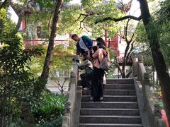 -汇龙潭