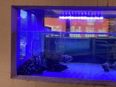 -潮福城大酒楼(北尚店)