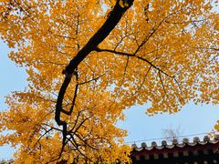 -红螺寺