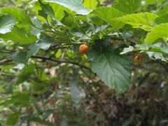 -北仑森林植物园