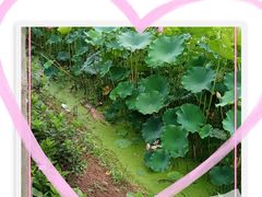 -三圣里·中餐宴请·自助烤肉·烤全羊·柴火鸡(旗舰店)