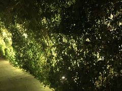 -万柳阁小馆·花园餐厅(龙潭湖店)