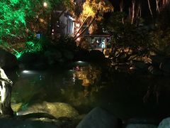 -天芳悦潭度假村温泉