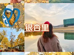 -金陵图书馆