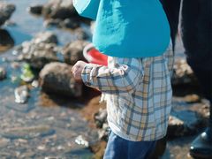 -日照灯塔风景区