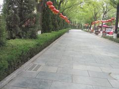 -大槐树寻根祭祖园