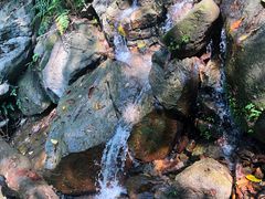 -火炉山森林公园