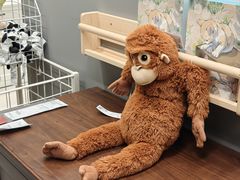 -宜家家居(四元桥商场店)