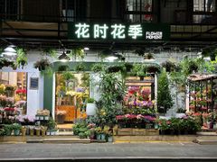 -溪岸路花鸟市场