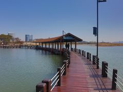 -苏州太湖湖滨国家湿地公园