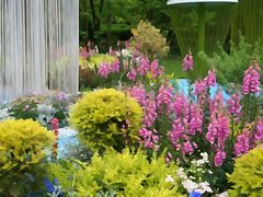 -上海共青森林公园