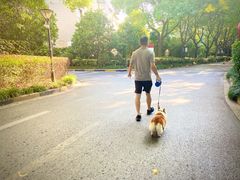 -兴隆点心店(新北街店)