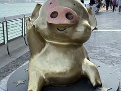 -星光大道