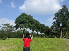 -汉长安城未央宫国家考古遗址公园