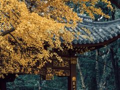 -汇龙潭